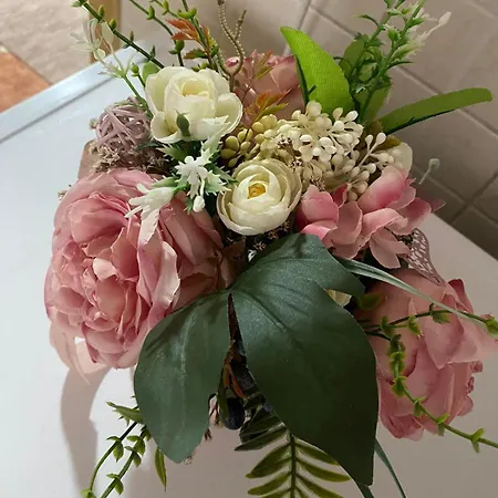 Appartement Centar *